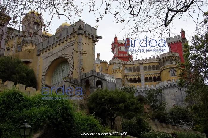 : Europe, Portugal, Sintra. The Pena National : Europe, Portugal, Sintra. The Pena National