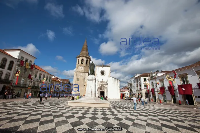 : Europe, Portugal, Tomar. Cobbled Portuguese : Europe, Portugal, Tomar. Cobbled Portuguese