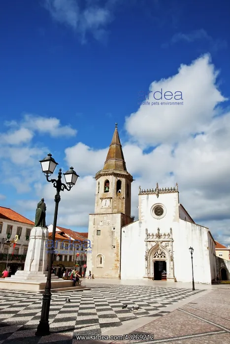 : Europe, Portugal, Tomar. Cobbled Portuguese : Europe, Portugal, Tomar. Cobbled Portuguese