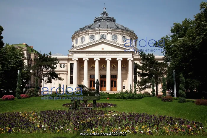 : Europe, Romania, Bucharest, Romanian Athenaeum : Europe, Romania, Bucharest, Romanian Athenaeum