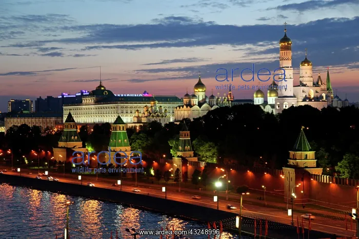 : Europe, Russia, Moscow. Dusk at the Kremlin : Europe, Russia, Moscow. Dusk at the Kremlin