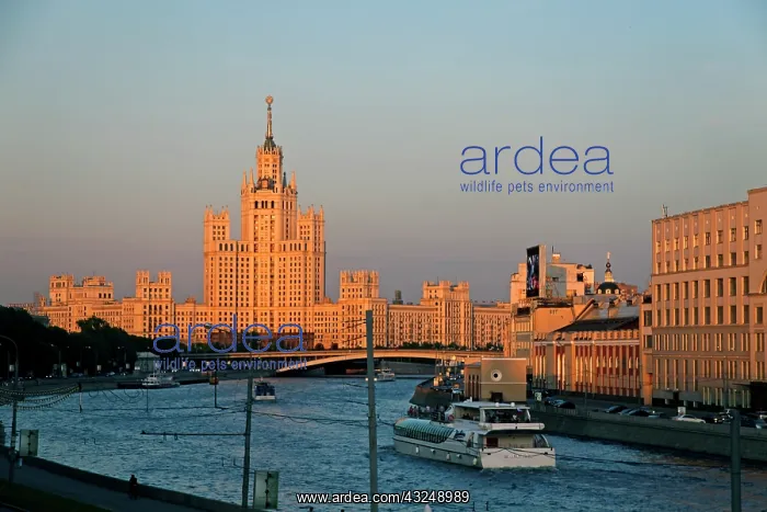 : Europe, Russia, Moscow. The Moskva River : Europe, Russia, Moscow. The Moskva River