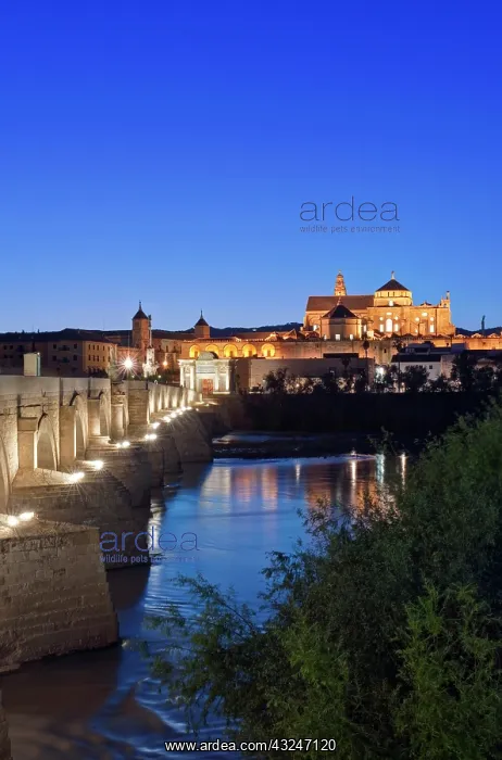 : Europe, Spain, Andalucia, Cordoba, Roman : Europe, Spain, Andalucia, Cordoba, Roman