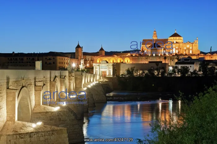 : Europe, Spain, Andalucia, Cordoba, Roman : Europe, Spain, Andalucia, Cordoba, Roman