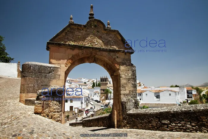 : Europe, Spain, Andalucia, Malaga Province : Europe, Spain, Andalucia, Malaga Province