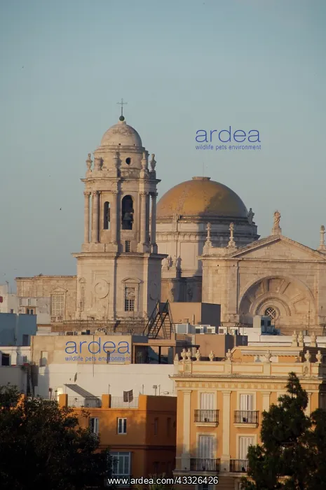 : Europe, Spain, Andalusia. Ancient port city : Europe, Spain, Andalusia. Ancient port city
