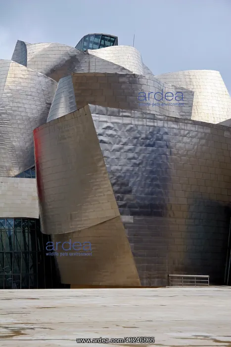 : Europe, Spain, Bilbao. The Guggenheim Museum : Europe, Spain, Bilbao. The Guggenheim Museum