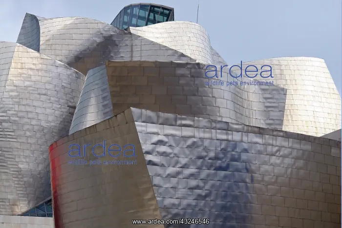  : Europe, Spain, Bilbao. The Guggenheim Museum
