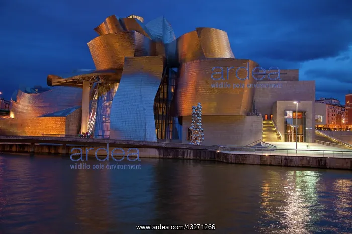 : Europe, Spain, Bilbao. Guggenheim Museum : Europe, Spain, Bilbao. Guggenheim Museum