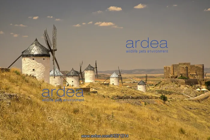 : Europe, Spain, Castile-La Mancha Region : Europe, Spain, Castile-La Mancha Region