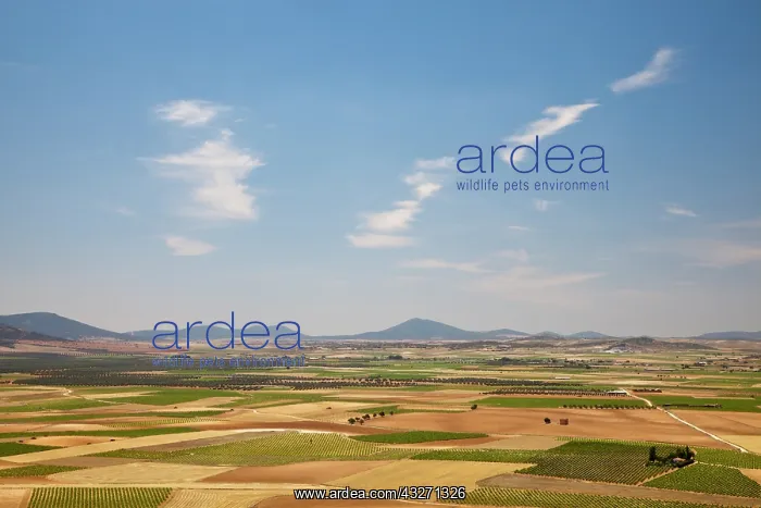 : Europe, Spain, Castile-La Mancha Region : Europe, Spain, Castile-La Mancha Region