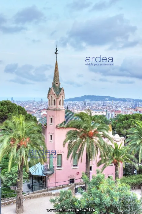 : Europe, Spain, Catalonia, Barcelona, Park : Europe, Spain, Catalonia, Barcelona, Park
