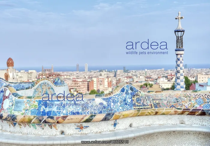 : Europe, Spain, Catalonia, Barcelona, Park : Europe, Spain, Catalonia, Barcelona, Park