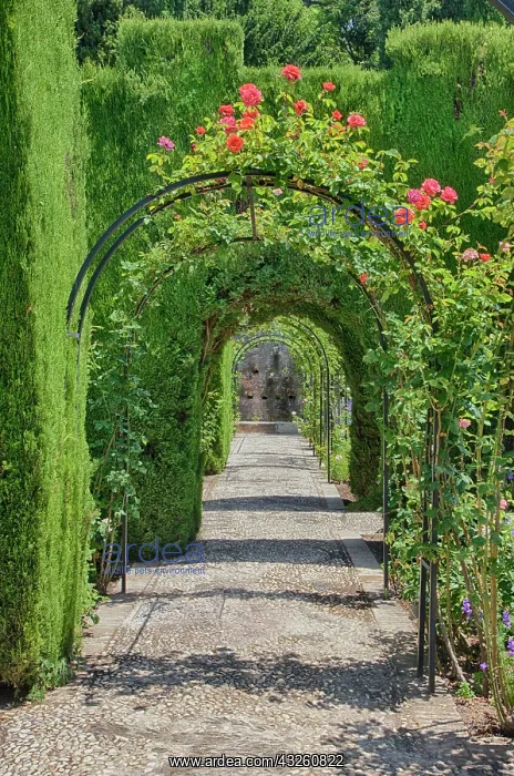 : Europe, Spain, Granada, Alhambra. Archway : Europe, Spain, Granada, Alhambra. Archway