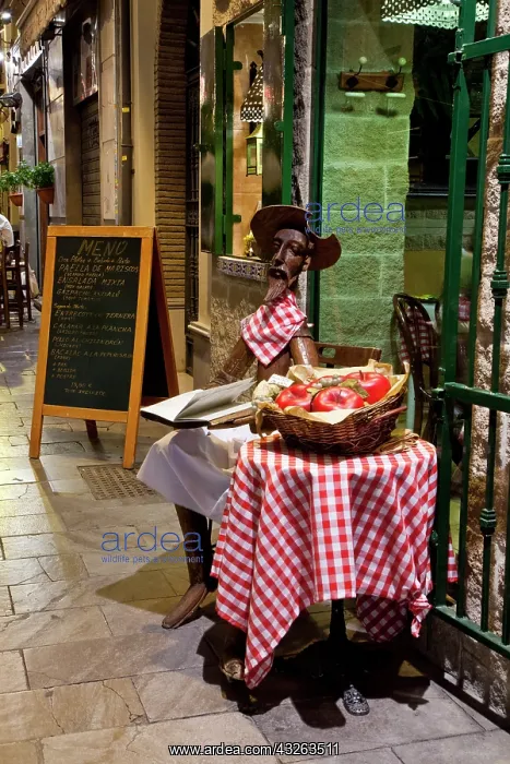 : Europe, Spain, Granada. Display in front : Europe, Spain, Granada. Display in front