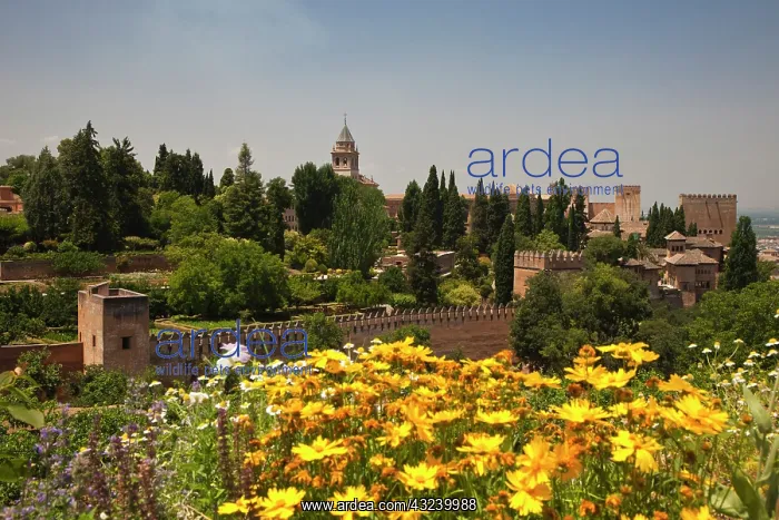 : Europe, Spain, Granada. The Generalife gardens : Europe, Spain, Granada. The Generalife gardens