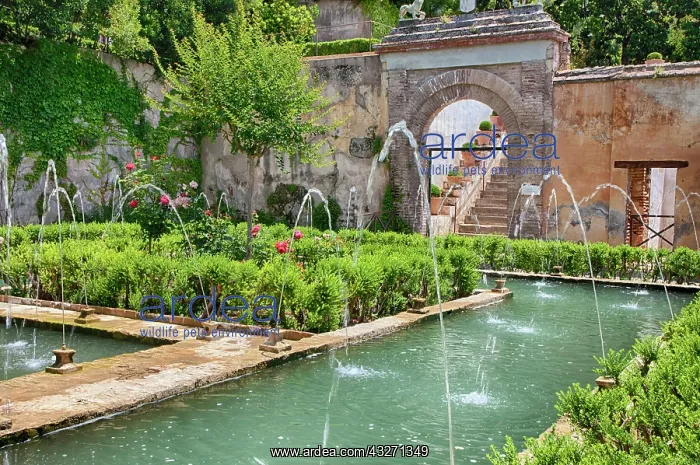  : Europe, Spain, Granada. The Generalife gardens
