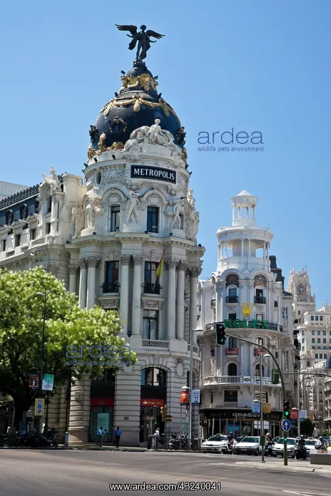 : Europe, Spain, Madrid. Metropolis building : Europe, Spain, Madrid. Metropolis building