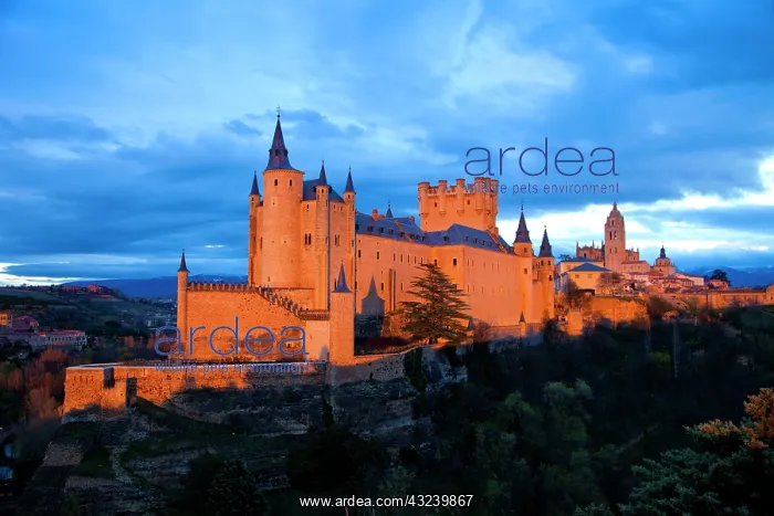 : Europe, Spain, Segovia. Alcazar castle at : Europe, Spain, Segovia. Alcazar castle at