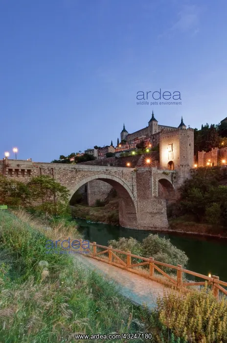 : Europe, Spain, Toledo, Alcantara Bridge : Europe, Spain, Toledo, Alcantara Bridge