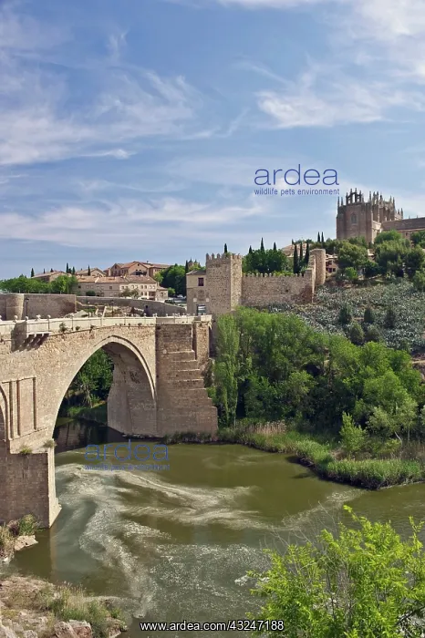 : Europe, Spain, Toledo, St. Martin's Bridge : Europe, Spain, Toledo, St. Martin's Bridge