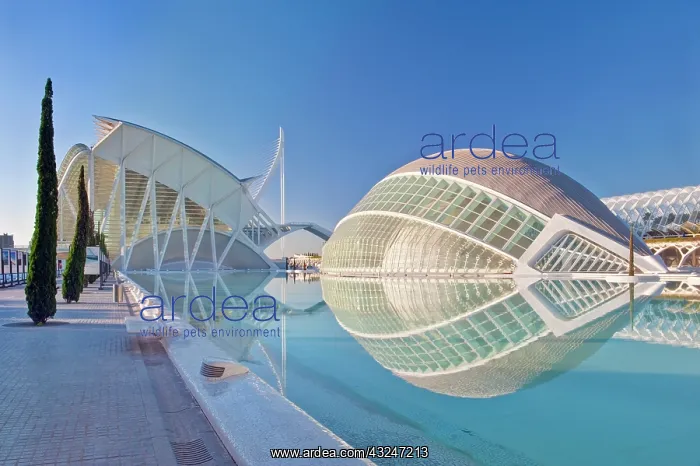 : Europe, Spain, Valencia, City of Arts and : Europe, Spain, Valencia, City of Arts and