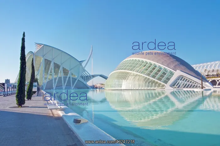 : Europe, Spain, Valencia, City of Arts and : Europe, Spain, Valencia, City of Arts and