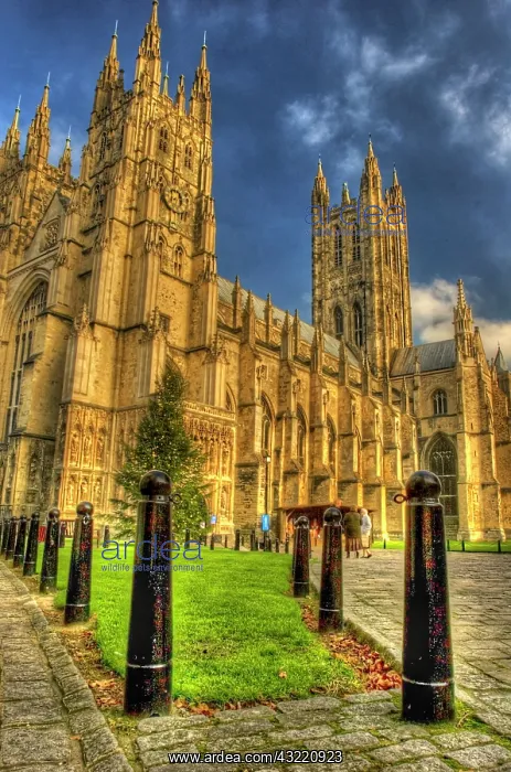 : Europe; United Kingdom; England; Canterbury; : Europe; United Kingdom; England; Canterbury;