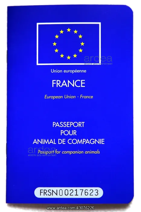 : European passport for pets : European passport for pets