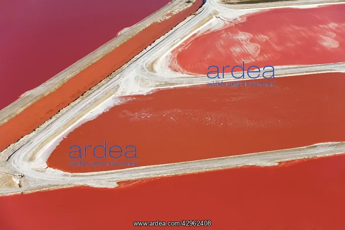 : Evaporation ponds for the commercial extraction : Evaporation ponds for the commercial extraction
