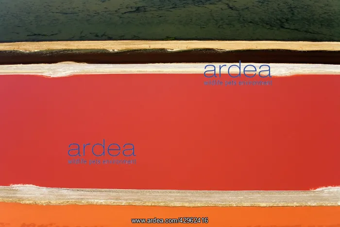 : Evaporation ponds for the commercial extraction : Evaporation ponds for the commercial extraction