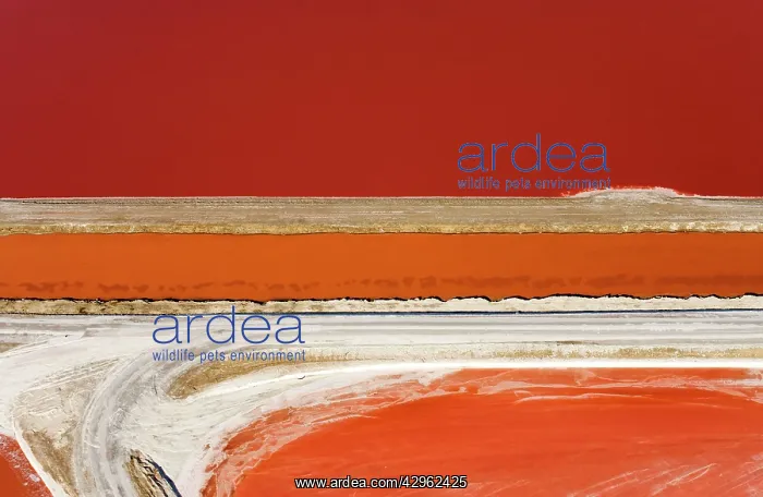 : Evaporation ponds for the commercial extraction : Evaporation ponds for the commercial extraction