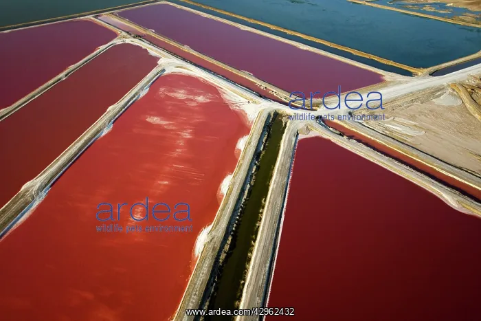 : Evaporation ponds for the commercial extraction : Evaporation ponds for the commercial extraction