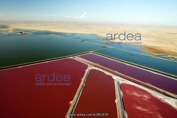 : Evaporation ponds for the commercial extraction : Evaporation ponds for the commercial extraction
