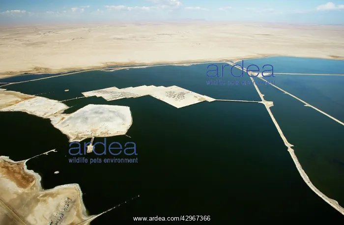 : Evaporation ponds for the commercial extraction : Evaporation ponds for the commercial extraction
