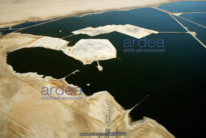 : Evaporation ponds for the commercial extraction : Evaporation ponds for the commercial extraction