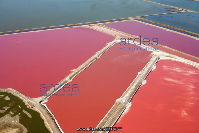 : Evaporation ponds for the commercial extraction : Evaporation ponds for the commercial extraction