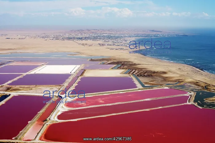 : Evaporation ponds for the commercial extraction : Evaporation ponds for the commercial extraction