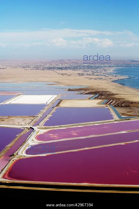 : Evaporation ponds for the commercial extraction : Evaporation ponds for the commercial extraction