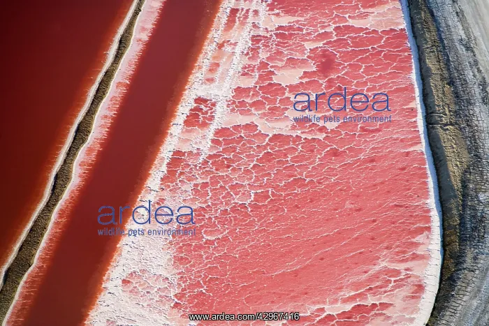 : Evaporation ponds for the commercial extraction : Evaporation ponds for the commercial extraction