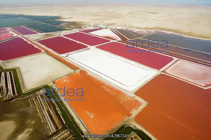 : Evaporation ponds for the commercial extraction of sea salt : Evaporation ponds for the commercial extraction of sea salt
