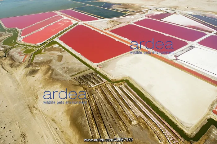 : Evaporation ponds for the commercial extraction of sea salt : Evaporation ponds for the commercial extraction of sea salt