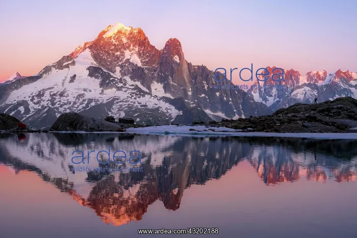 : Evening atmosphere with alpenglow, water reflection : Evening atmosphere with alpenglow, water reflection