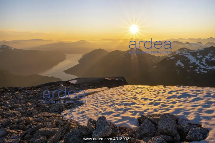 : Evening atmosphere, Jostedalsbreen National Park : Evening atmosphere, Jostedalsbreen National Park