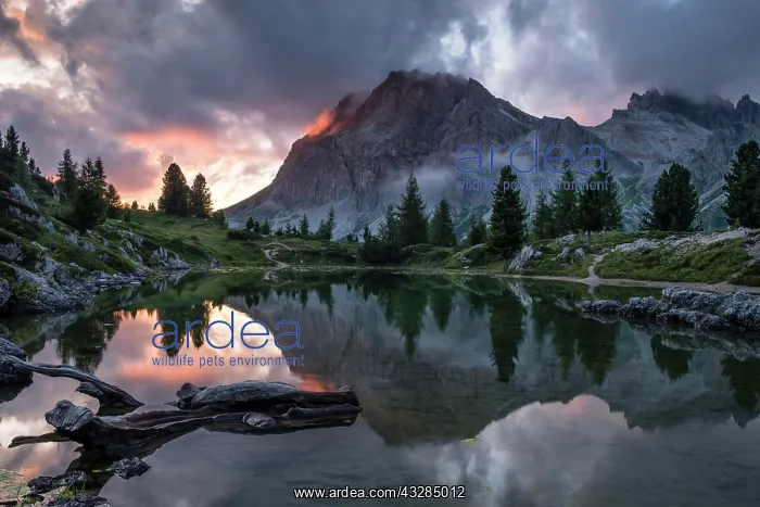 : Evening atmosphere at Lake Lago de Limides and Lagazuoi : Evening atmosphere at Lake Lago de Limides and Lagazuoi
