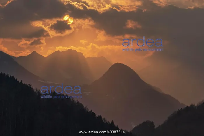  : Evening atmosphere in the Limestone Alps National