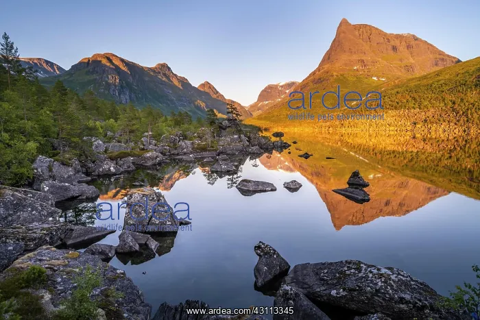 : Evening atmosphere, sunset at the lake Innerdalsvatna : Evening atmosphere, sunset at the lake Innerdalsvatna