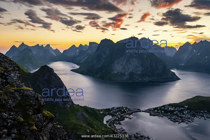 : Evening atmosphere, view from Reinebringen, Reinebriggen : Evening atmosphere, view from Reinebringen, Reinebriggen