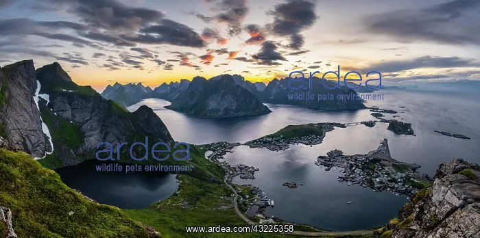 : Evening atmosphere, view from Reinebringen, Reinebriggen : Evening atmosphere, view from Reinebringen, Reinebriggen