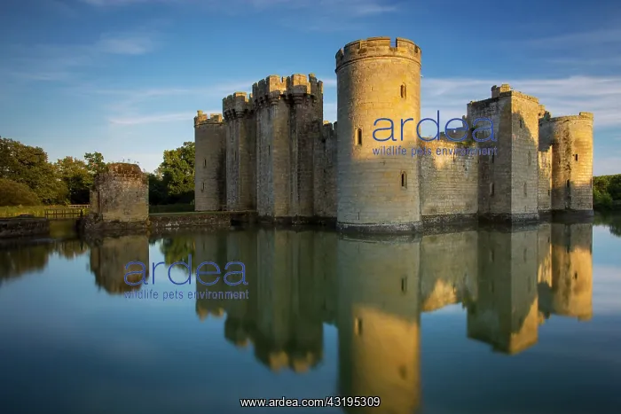 : Evening at Bodiam Castle (built 1395 by Sir Edward : Evening at Bodiam Castle (built 1395 by Sir Edward